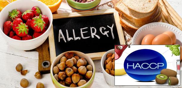 Food Allergen Awareness HACCP Awareness Course Bundle